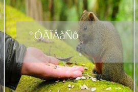 辽宁抚顺铁岭催收贷款:全方位解析与案例分析 辽宁抚顺铁岭催收贷款:全方位解析与案例分析