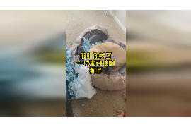 /img/814.png/img/814.png青岛讨债律师联系方式:专业法律援助,助您高效追回欠款/img/814.png /img/814.png/img/814.png青岛讨债律师联系方式:专业法律援助,助您高效追回欠款/img/814.png